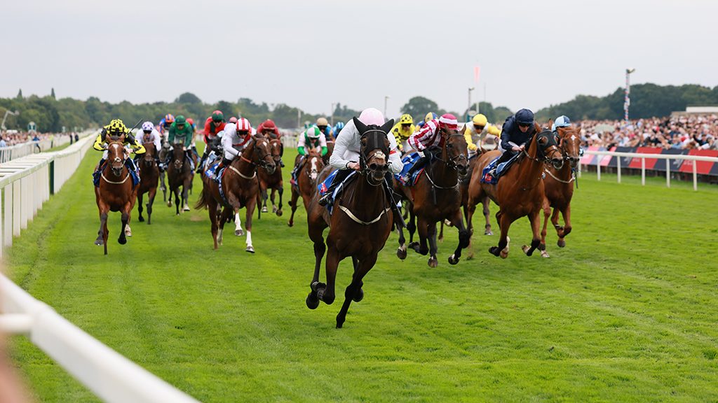 STV Racing: Live from Newmarket
