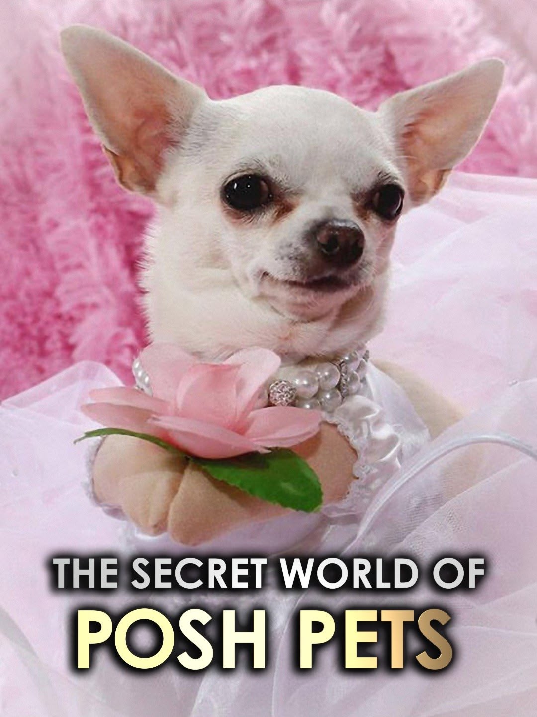 The Secret World of Posh Pets