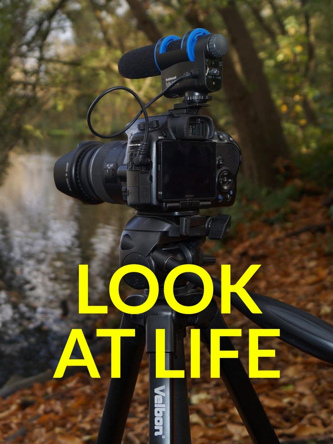 Look At Life The Wall