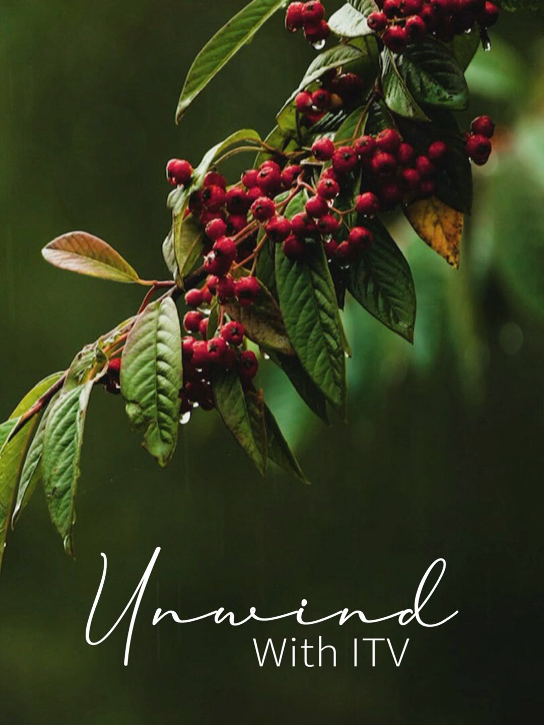 Unwind with ITV