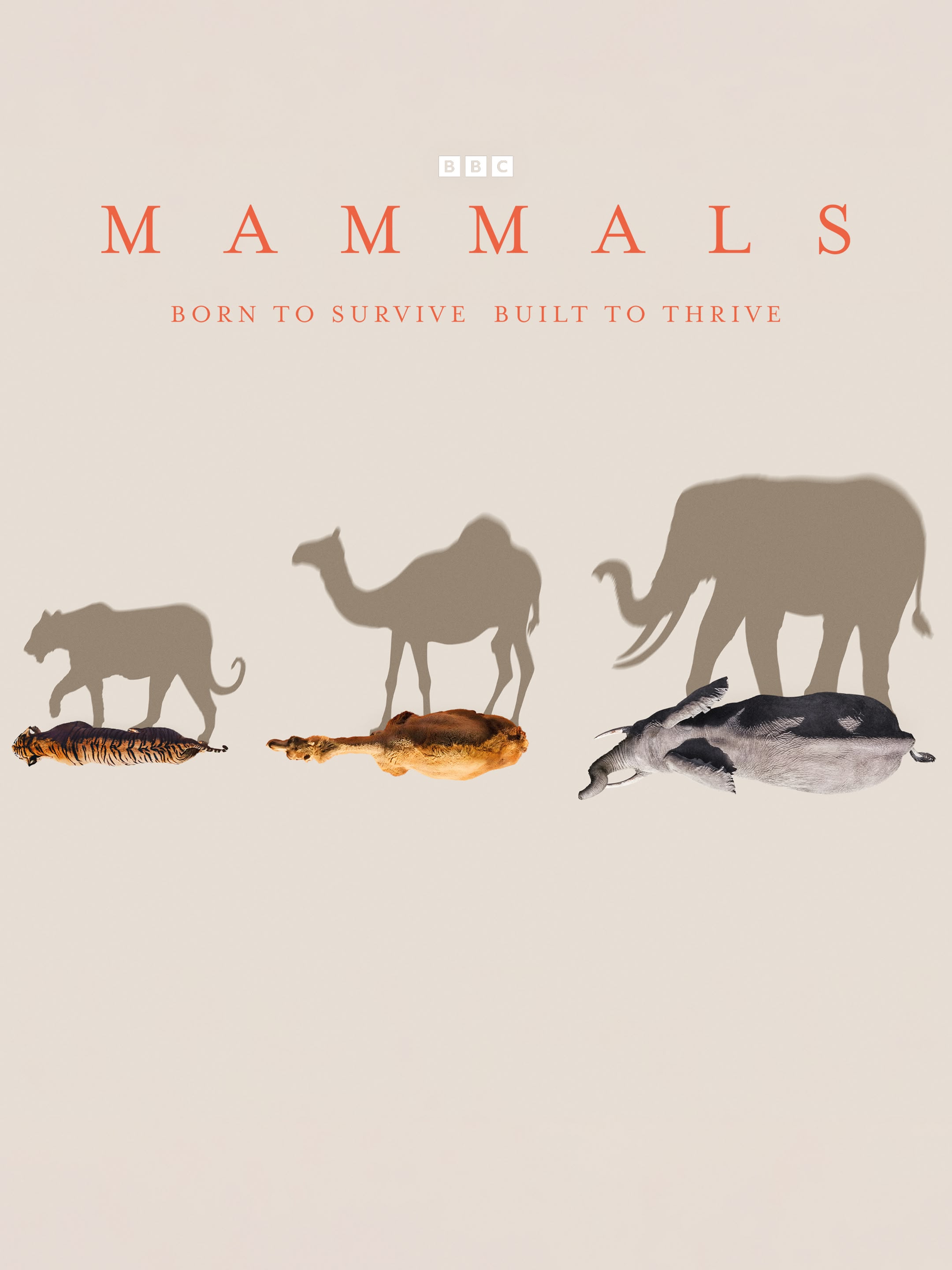 Mammals