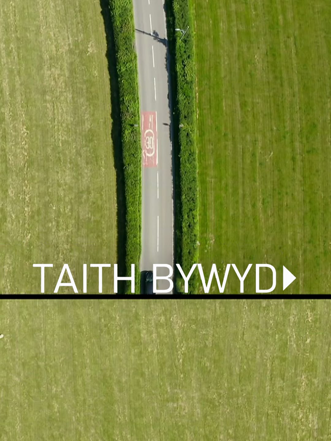 Taith Bywyd