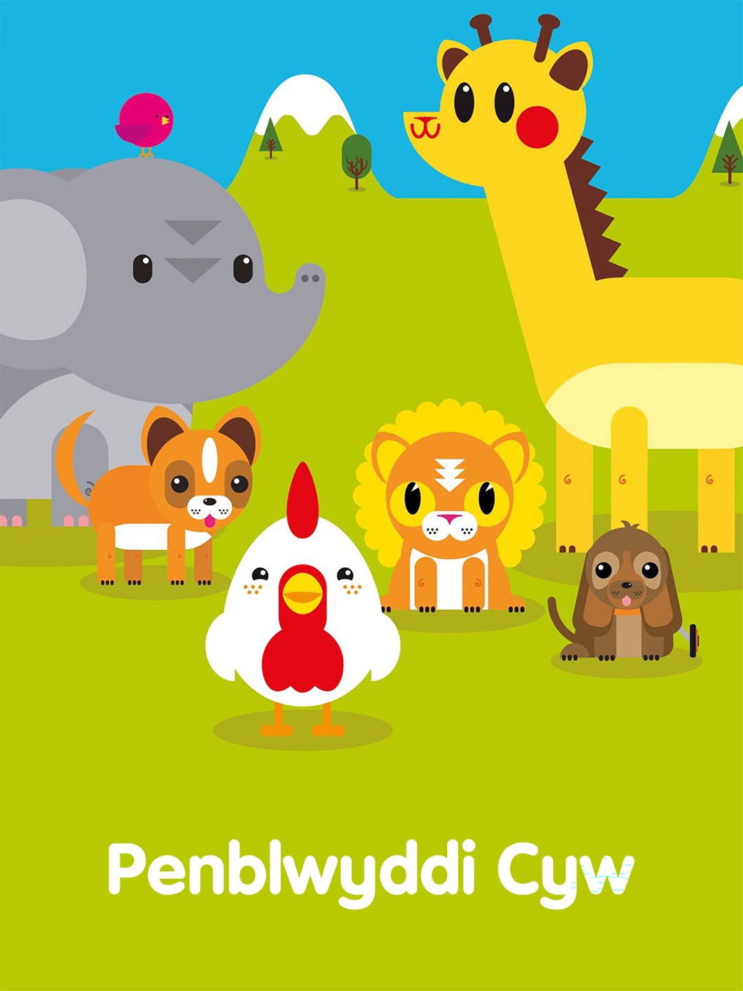 New: Penblwyddi Cyw