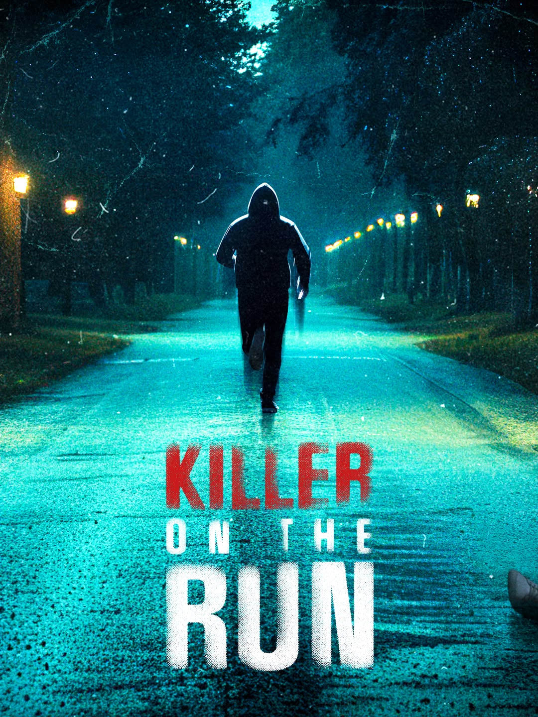 Killer on the Run