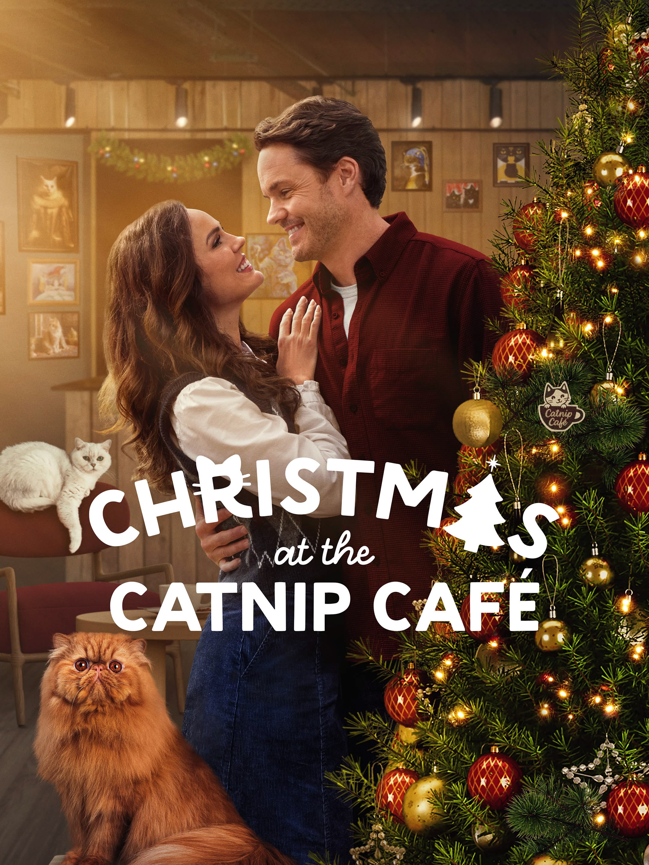 Christmas At The Catnip Cafe