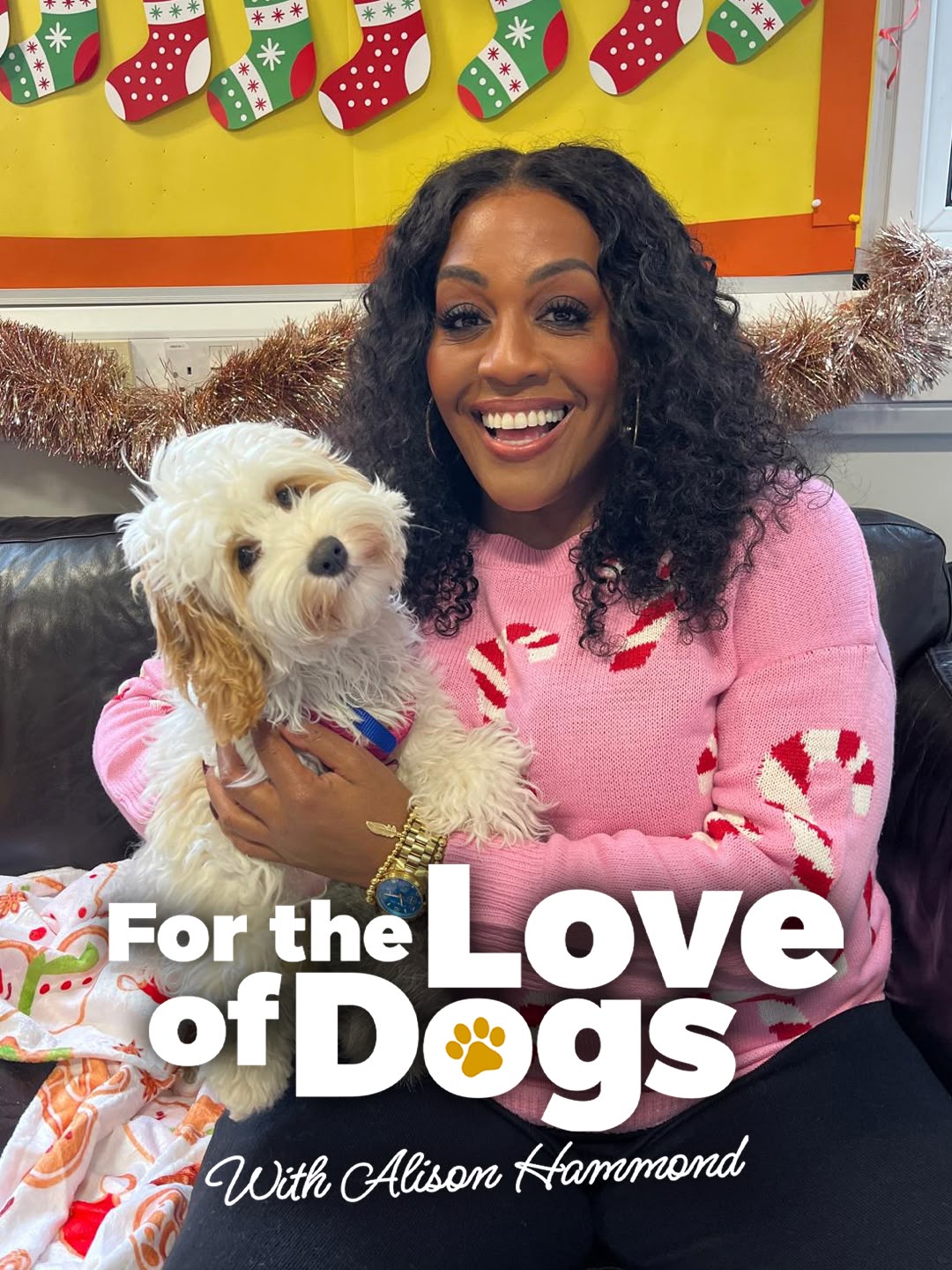 For The Love of Dogs with Alison Hammond
