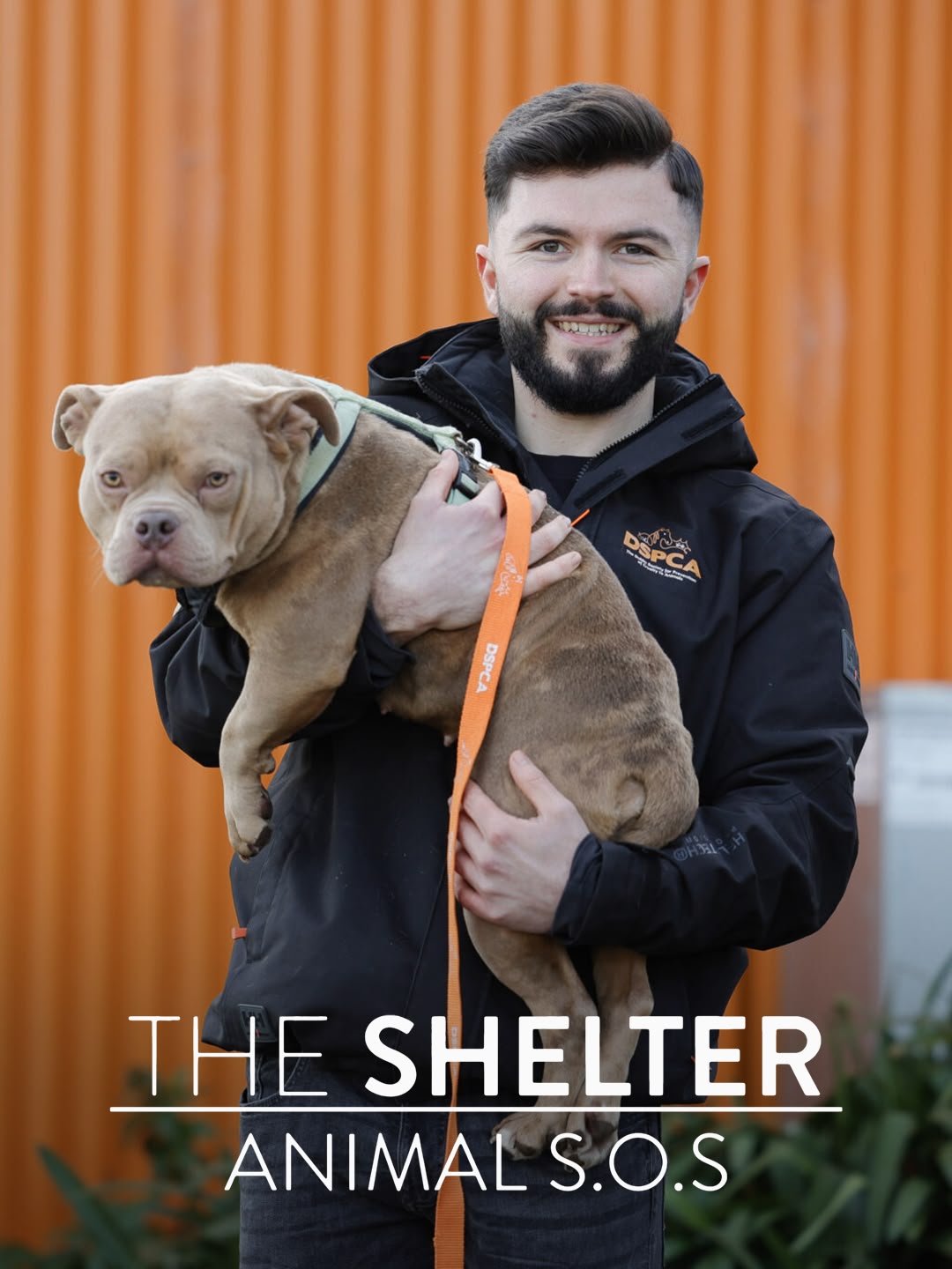 The Shelter: Animal SOS