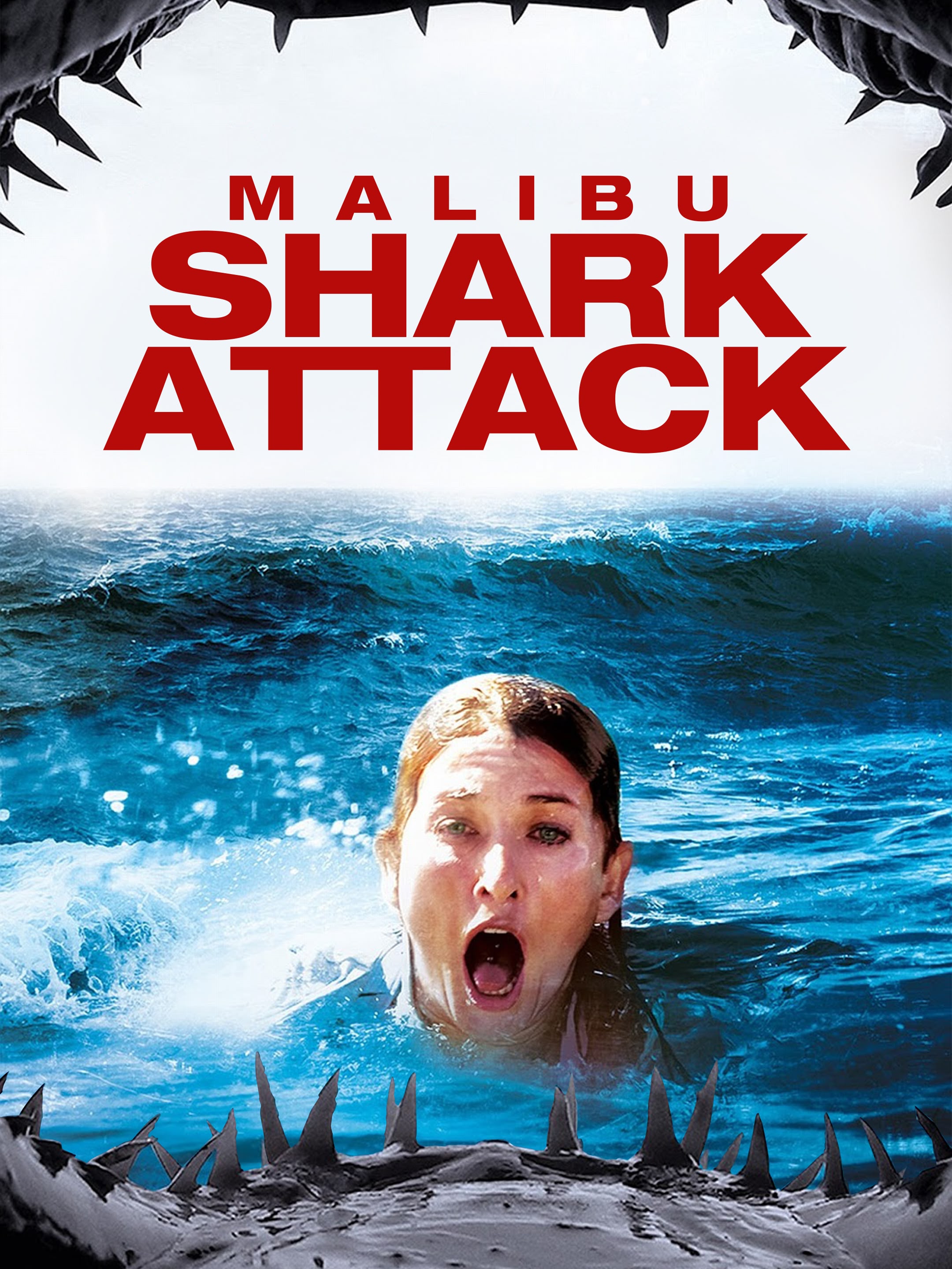 Malibu Shark Attack