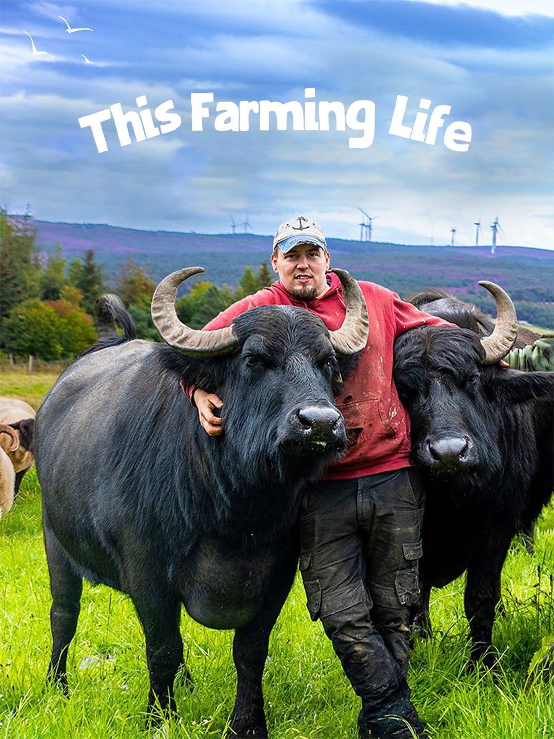 This Farming Life