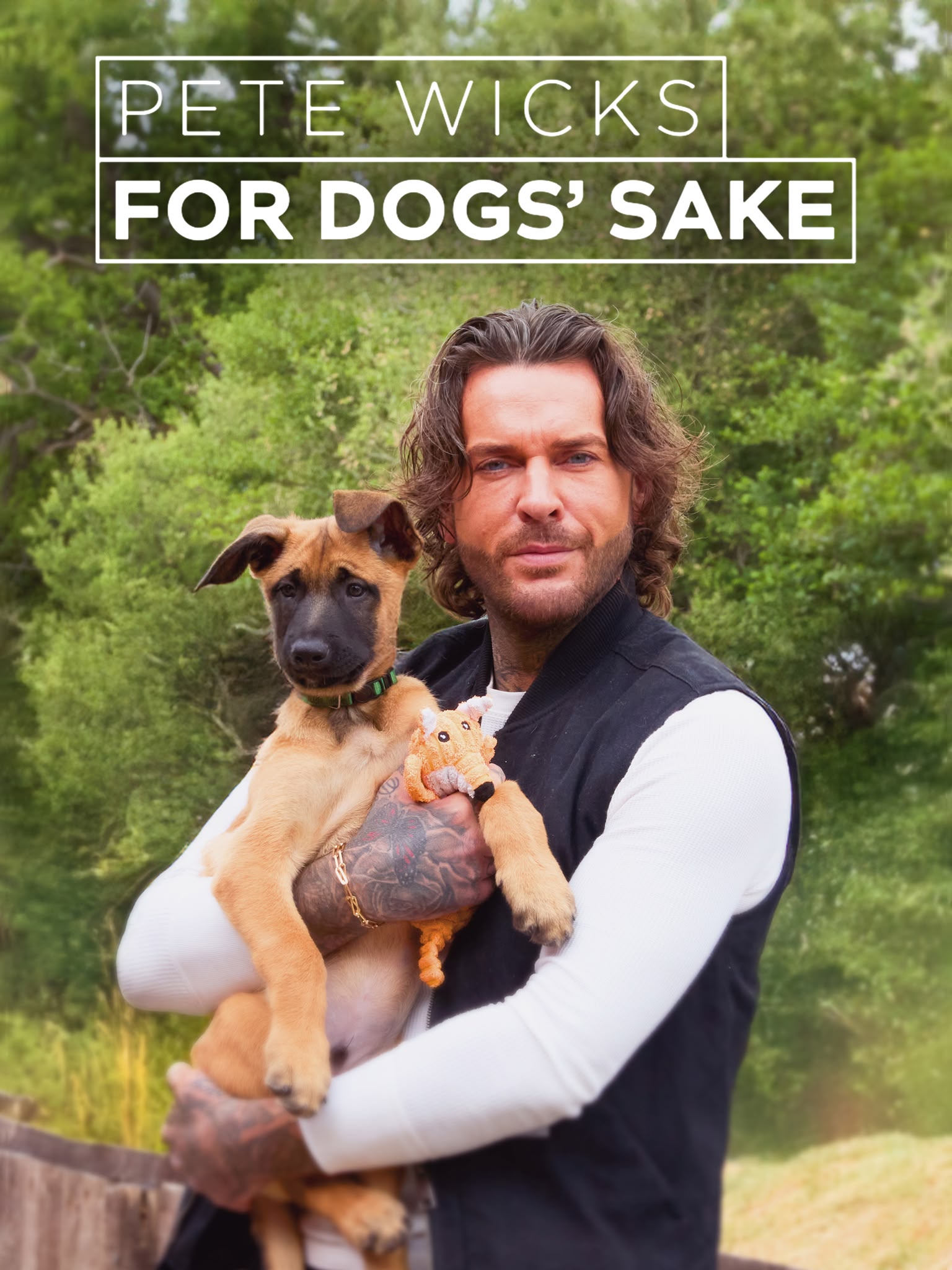 Pete Wicks: For Dogs' Sake