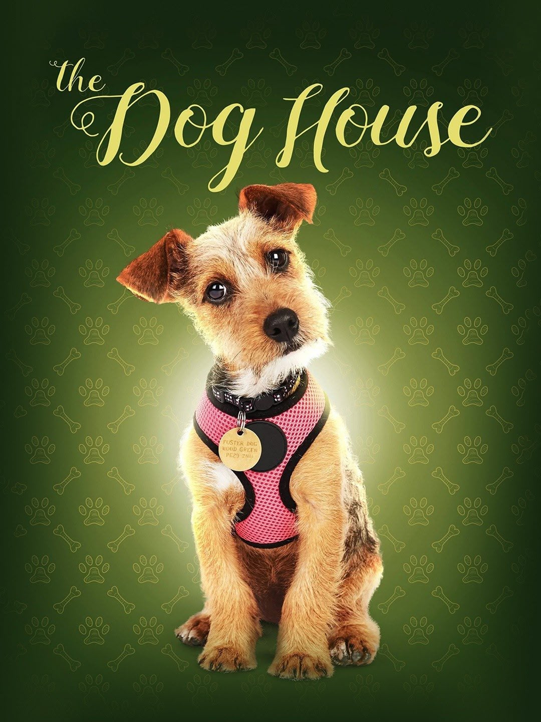 The Dog House