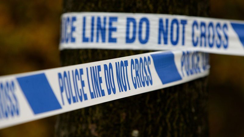 The Sugar Daddy Murder