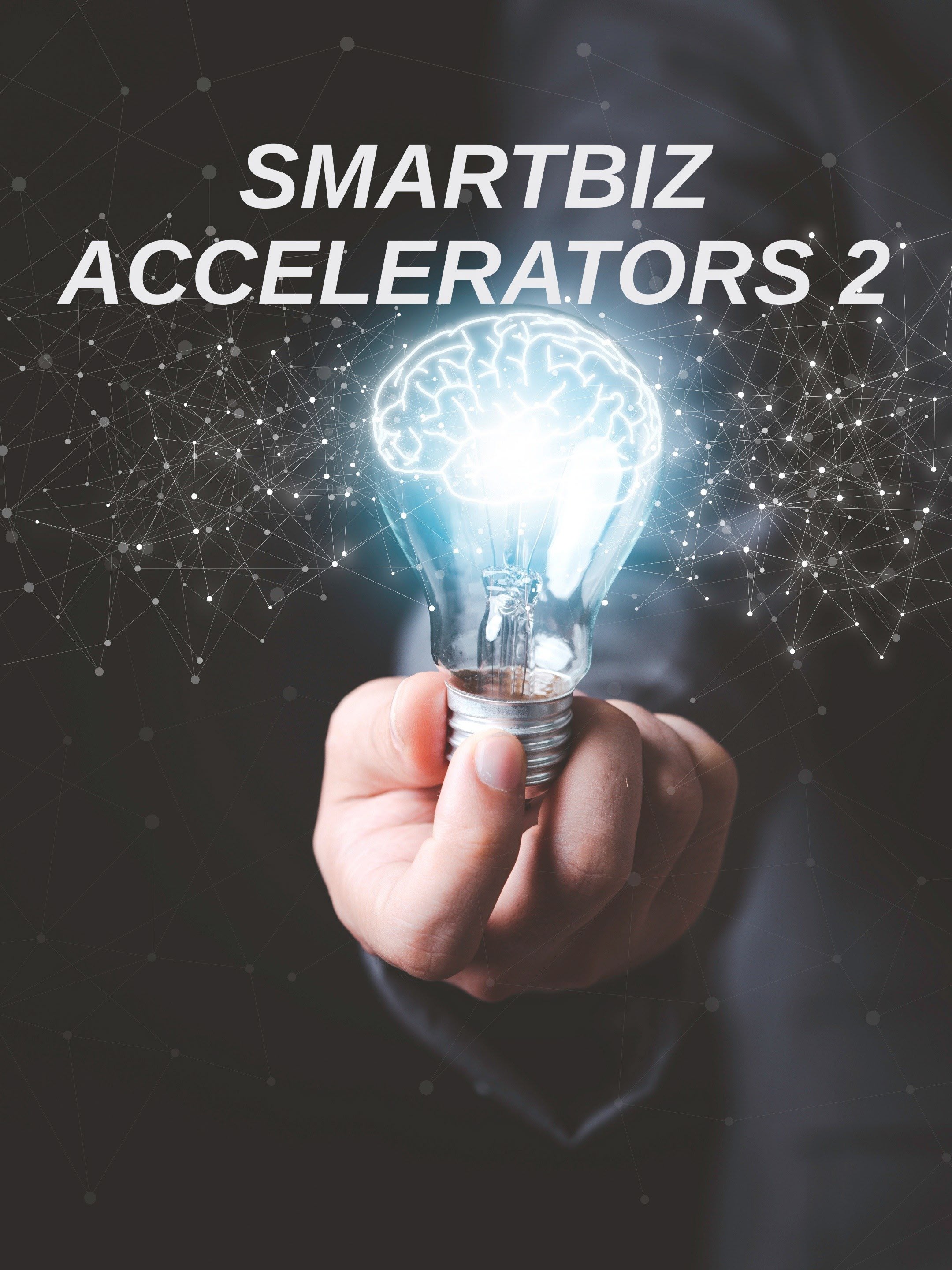 Smartbiz Accelerators 2
