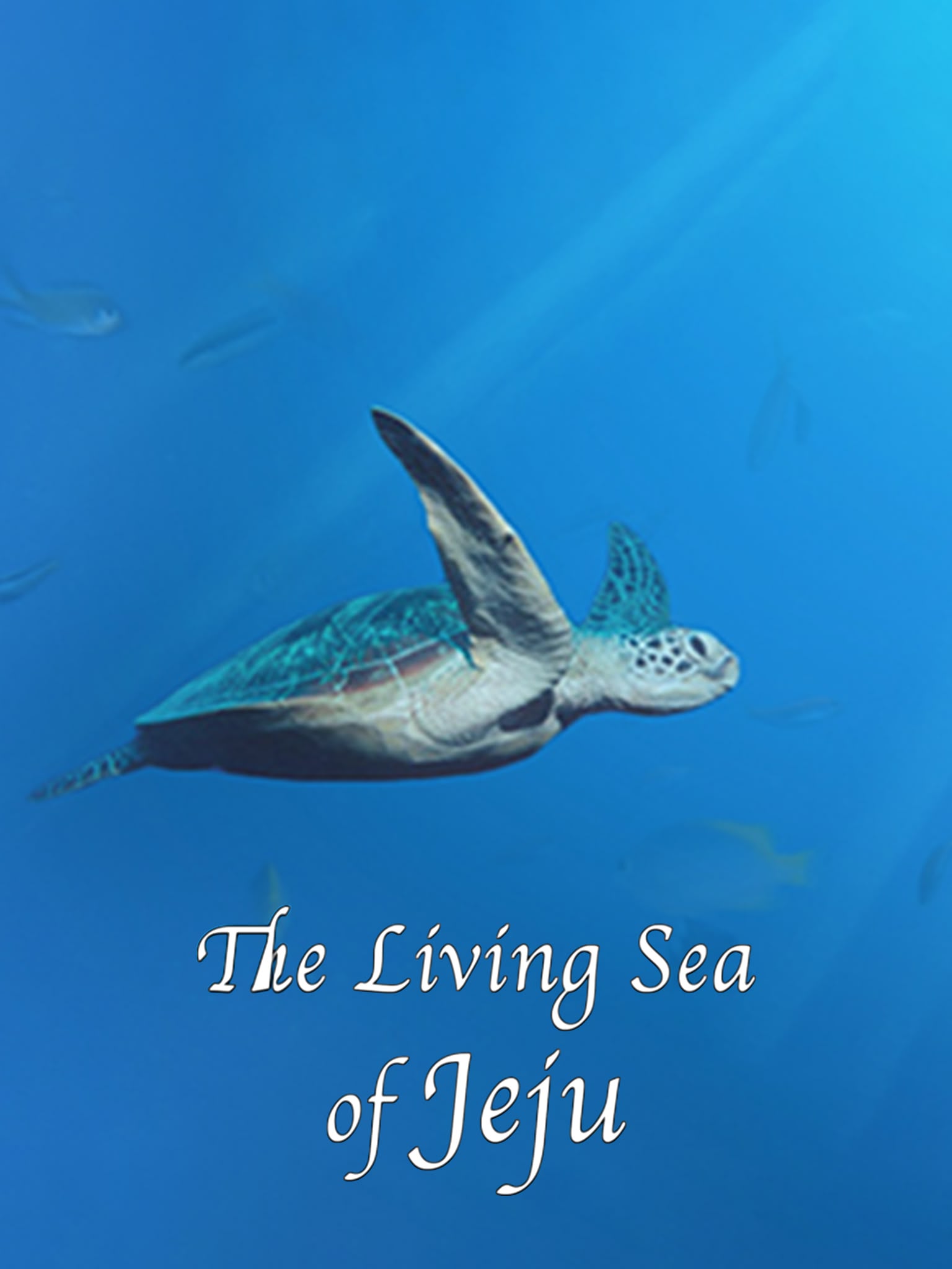 The Living Sea Of Jeju
