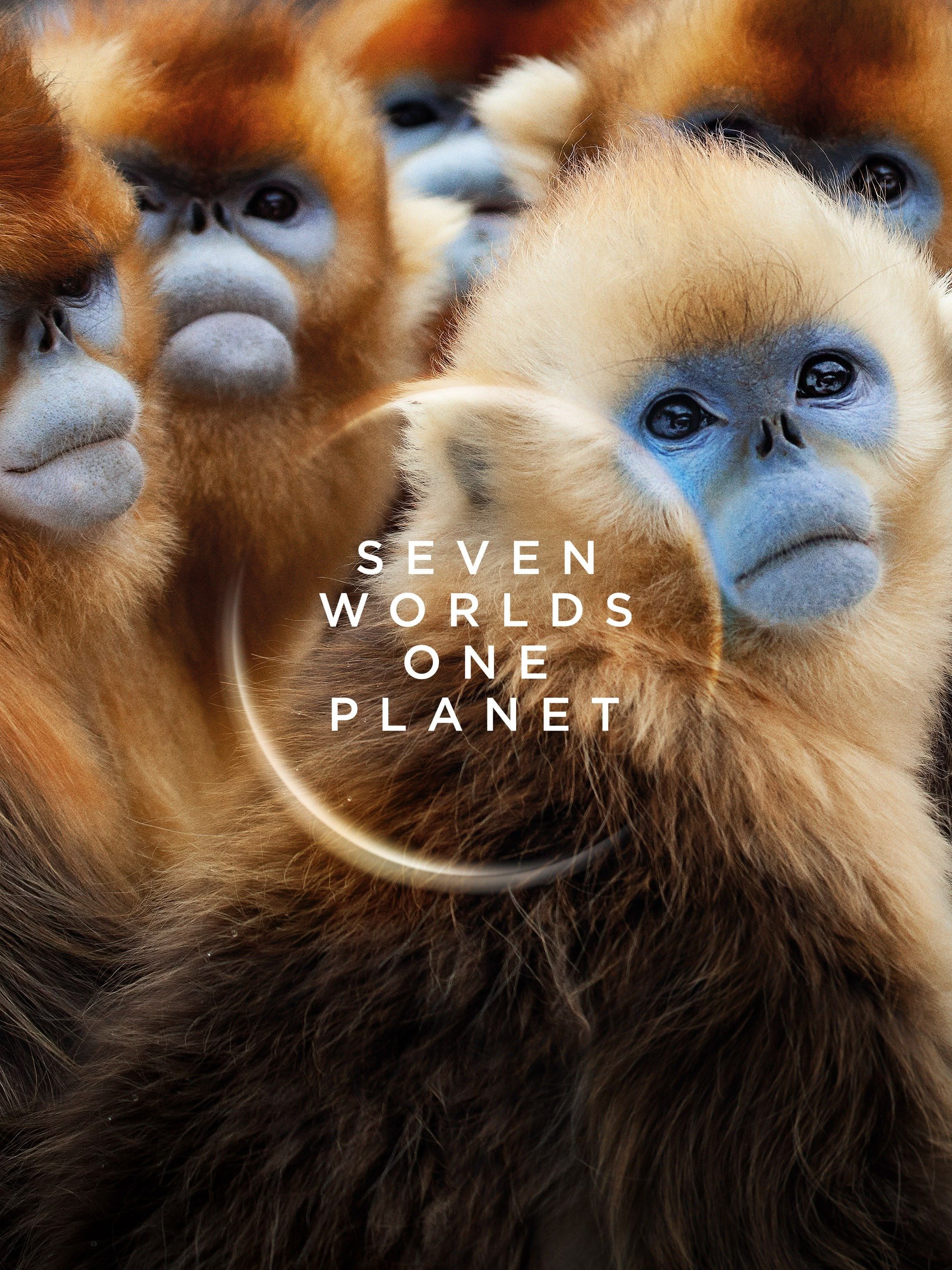 Seven Worlds One Planet