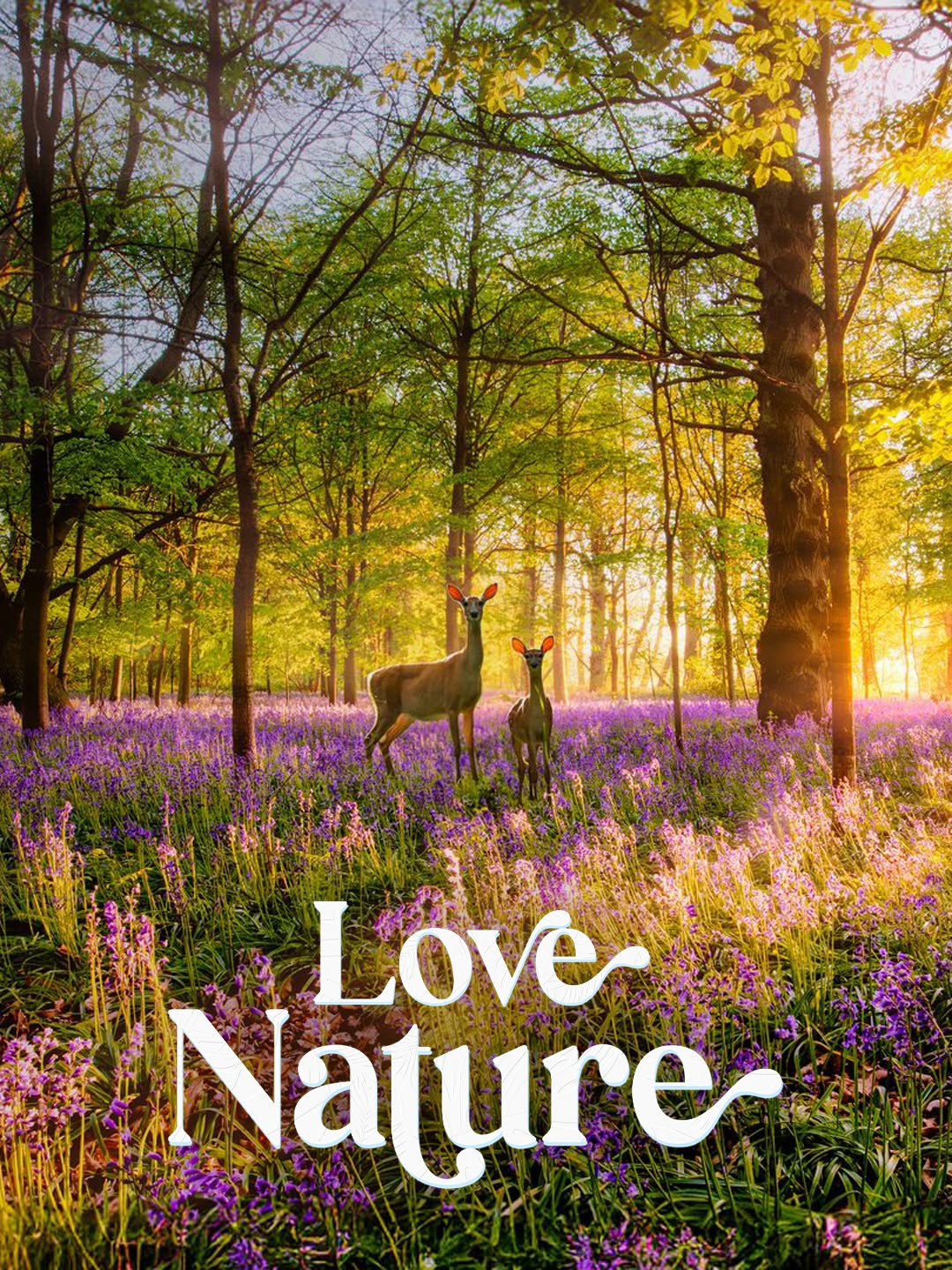 Love Nature
