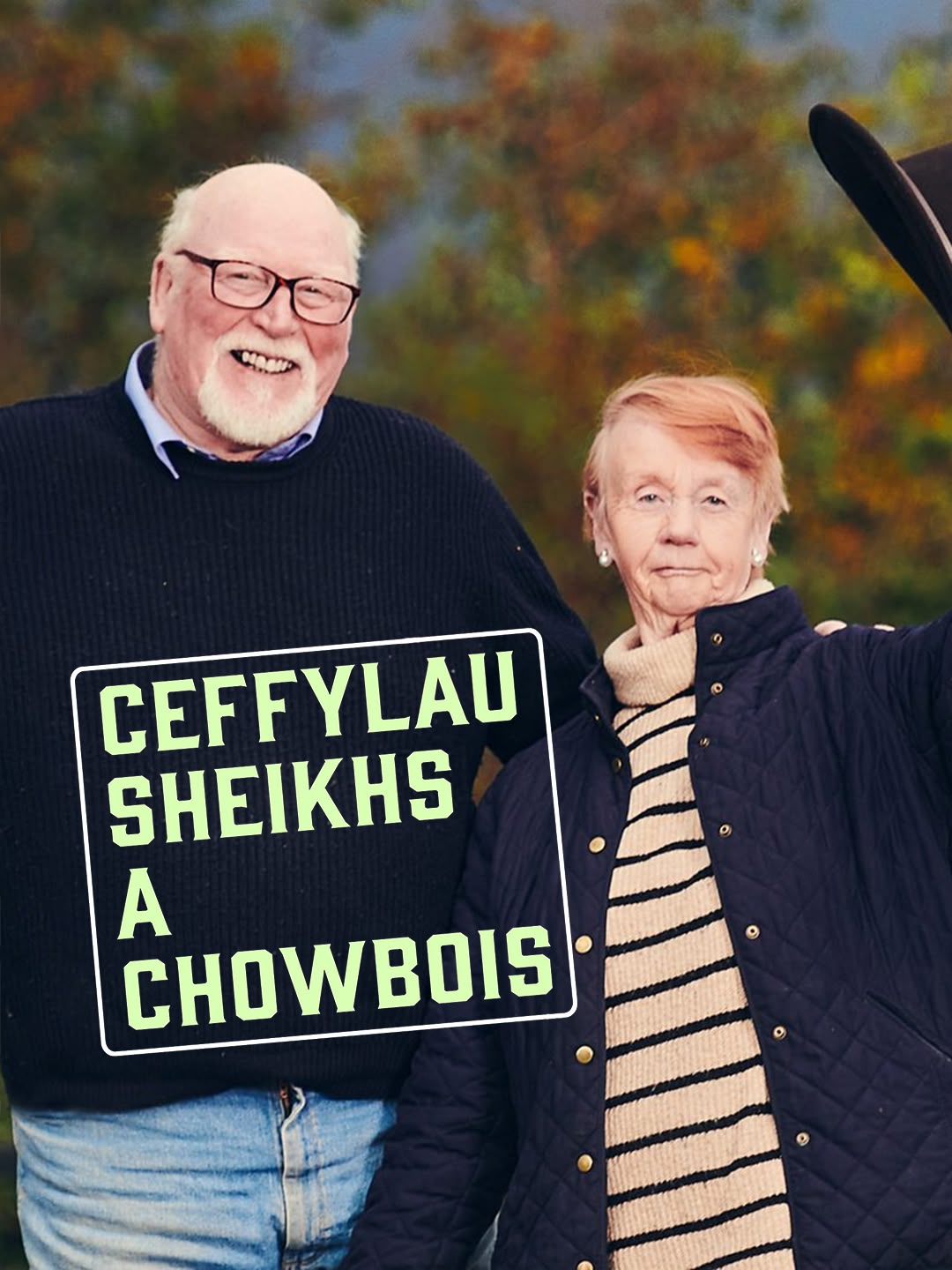 Ceffylau, Sheikhs a Chowbois