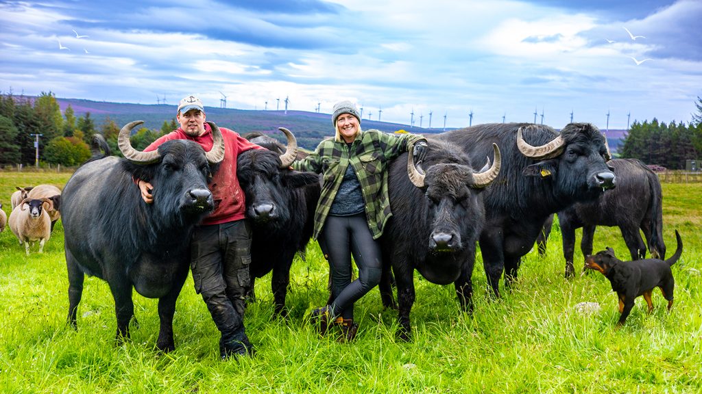 This Farming Life