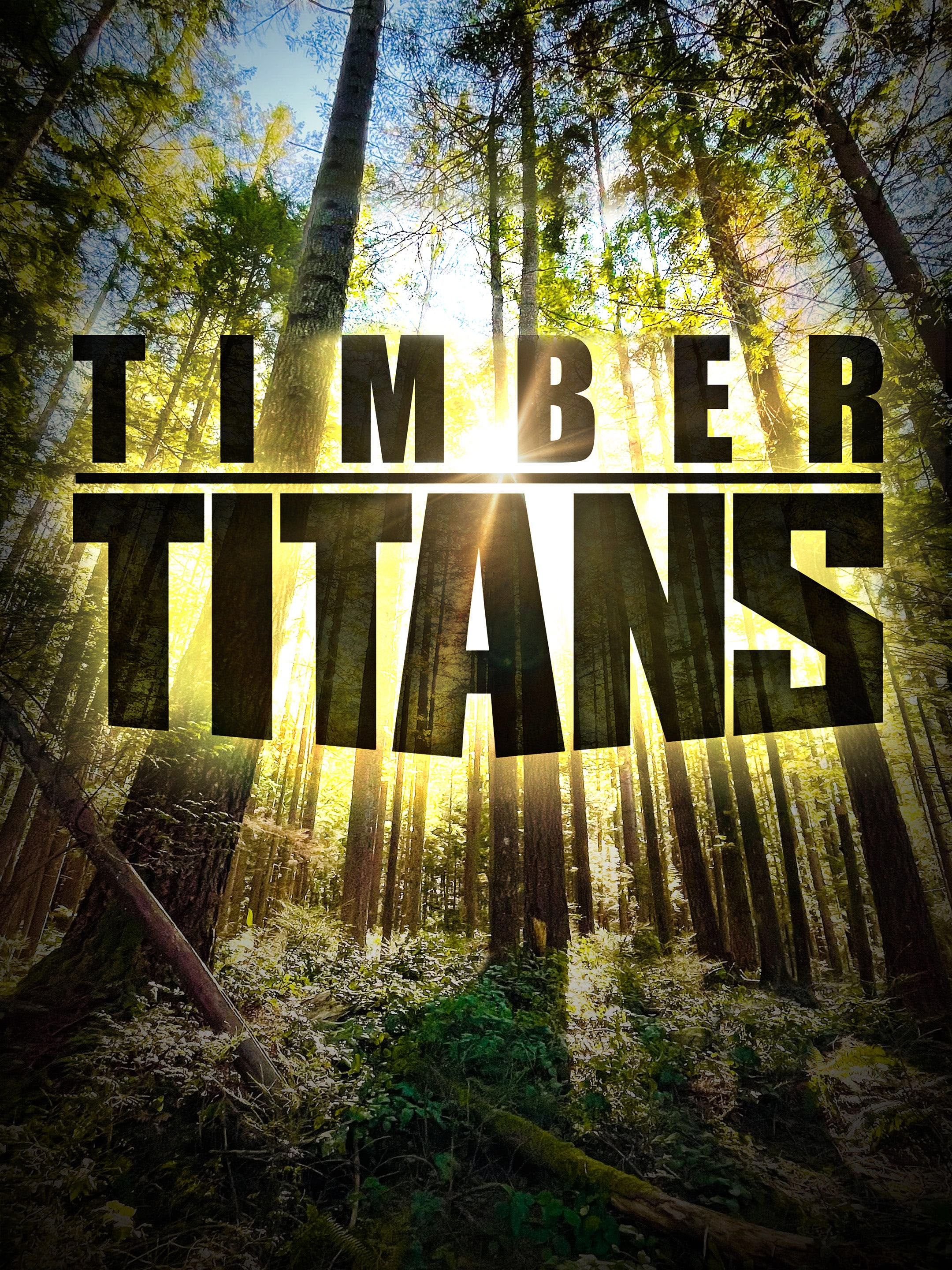 Timber Titans