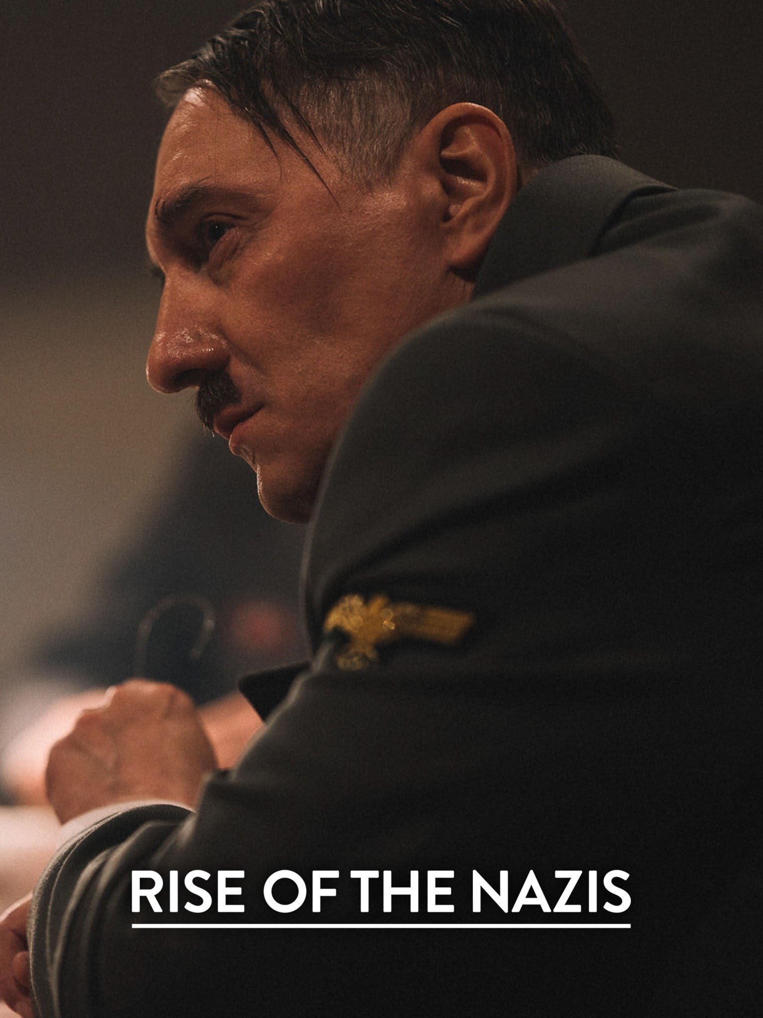 Rise of the Nazis