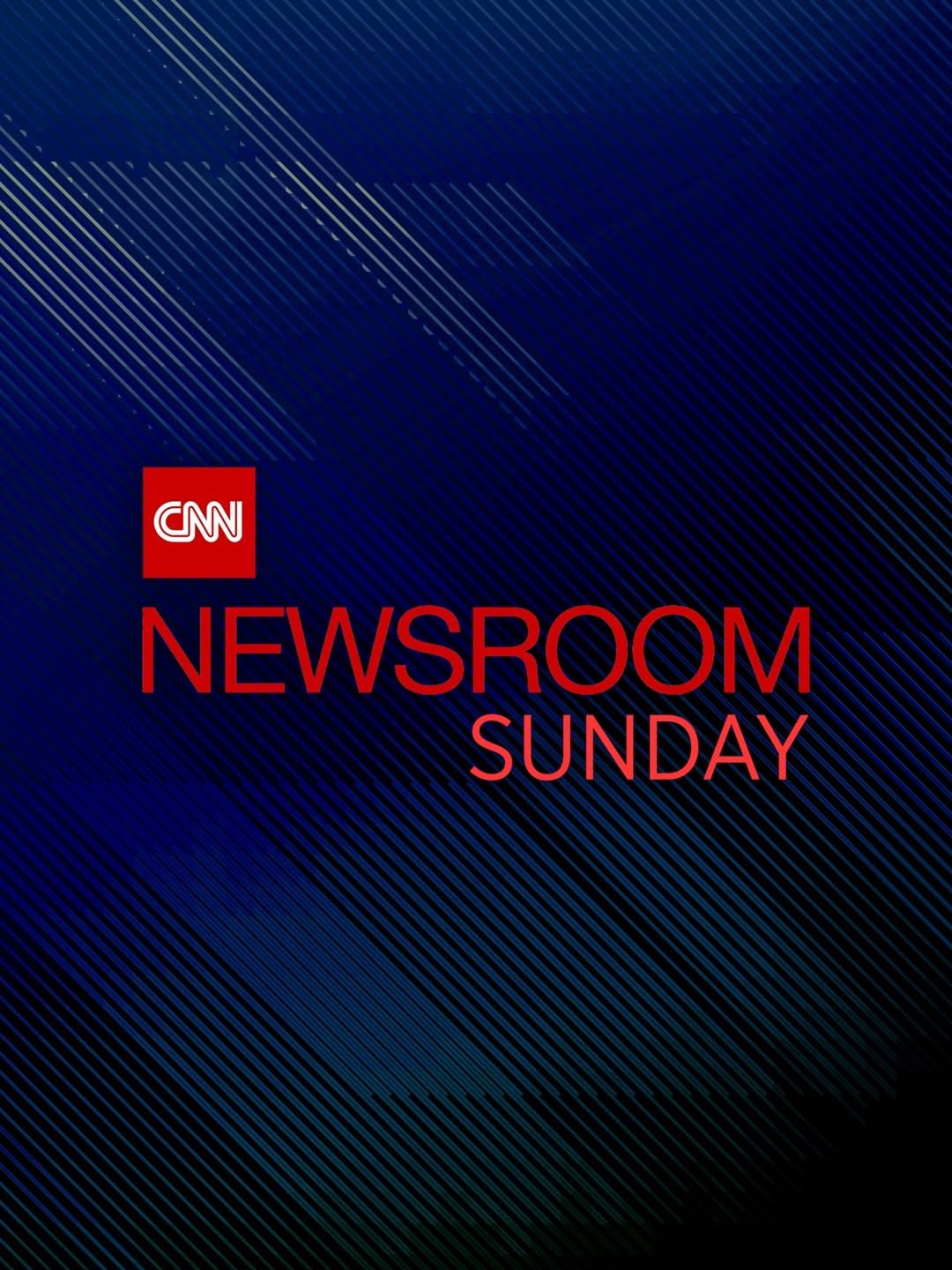 CNN Newsroom Sunday