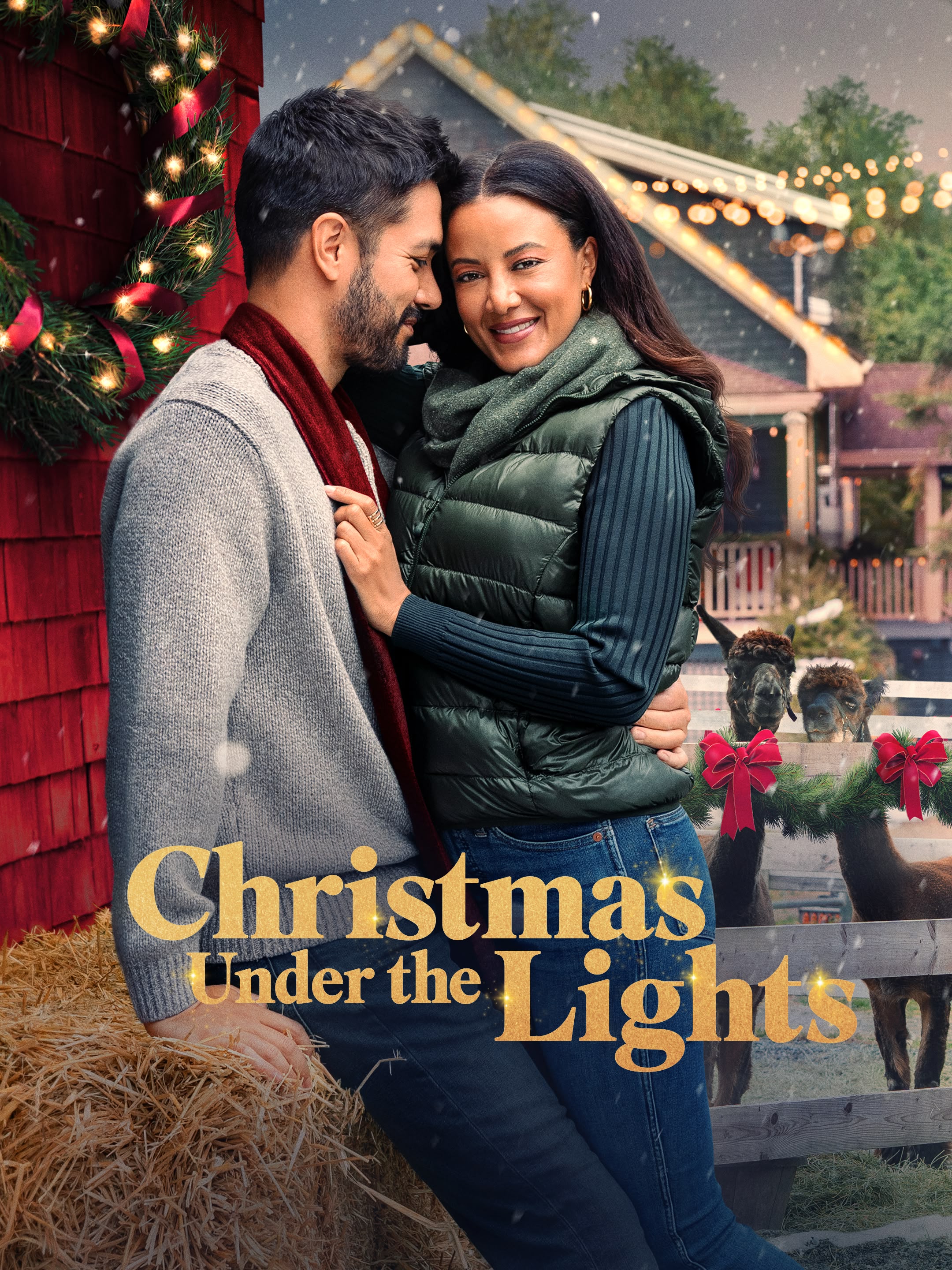 Christmas Under The Lights