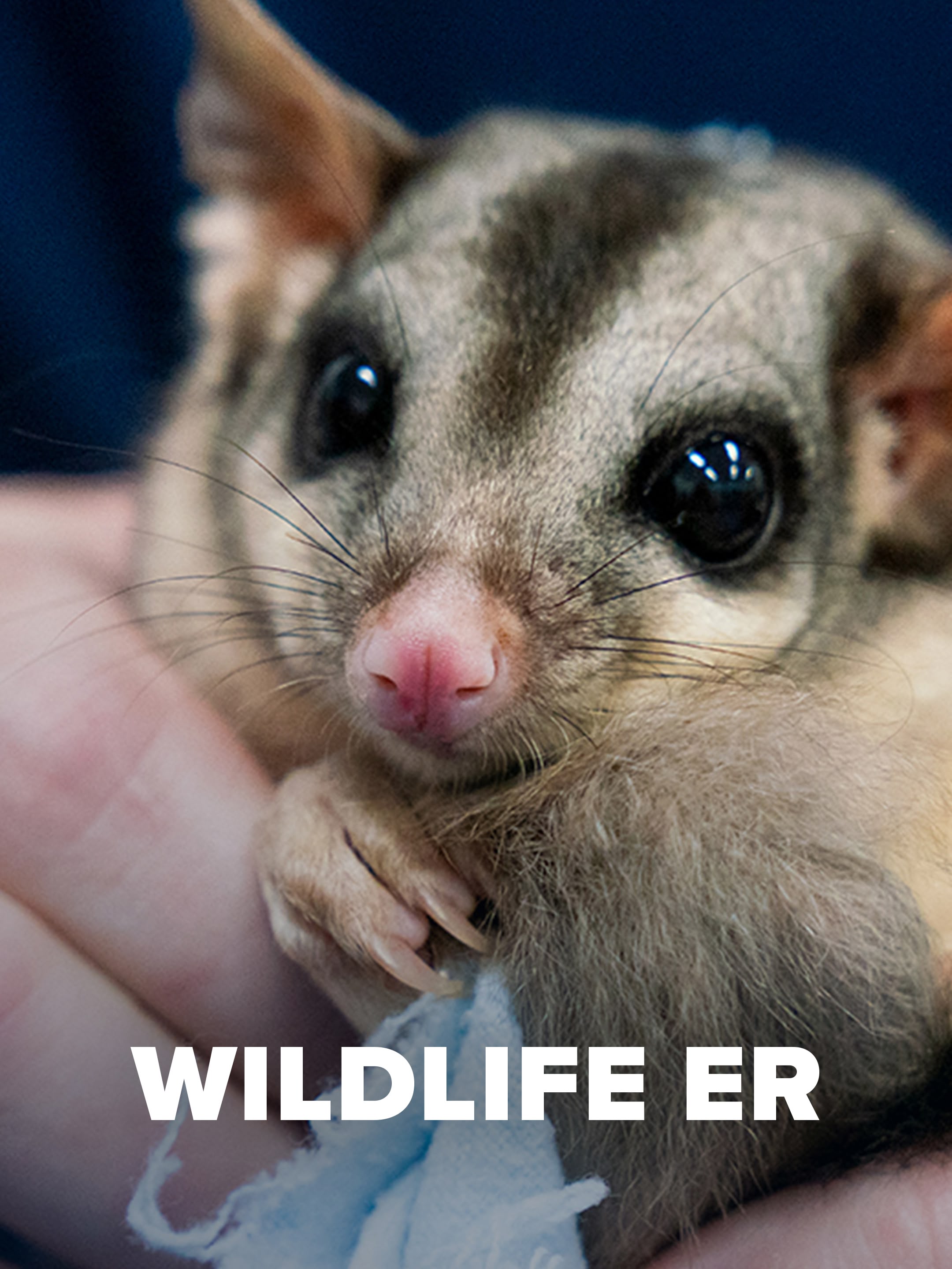 Wildlife ER