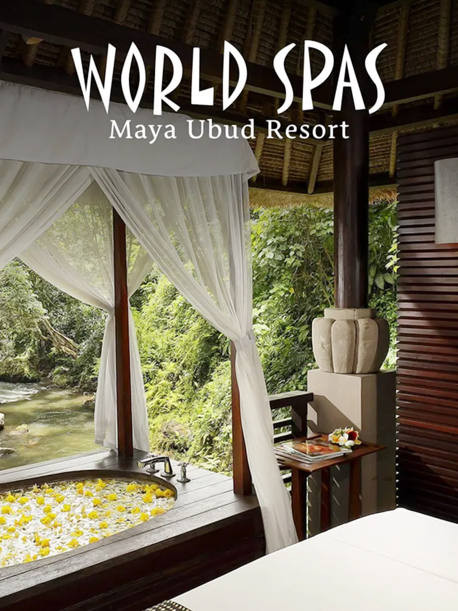 World Spas