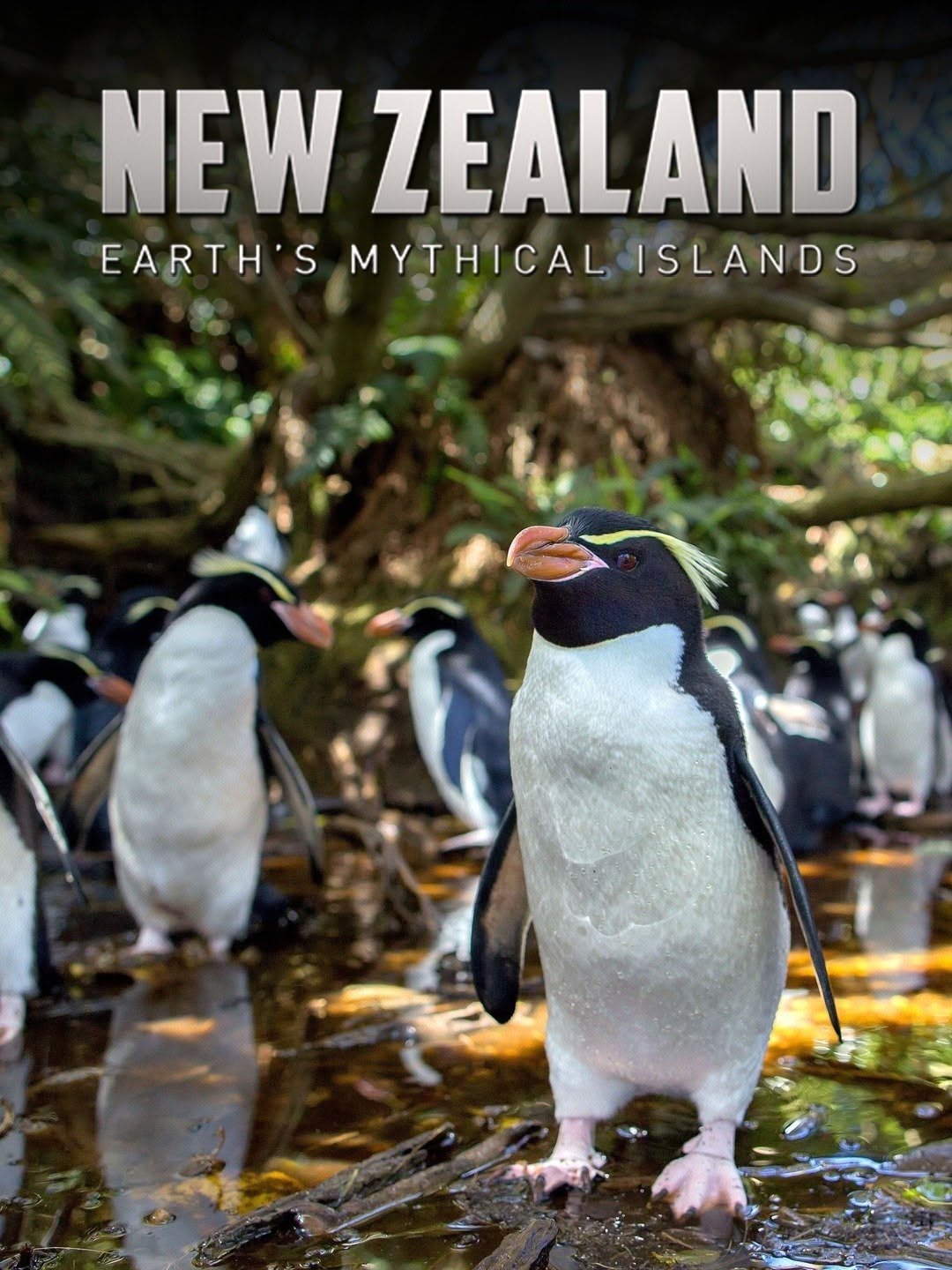 New Zealand: Earth's Mythical Islands