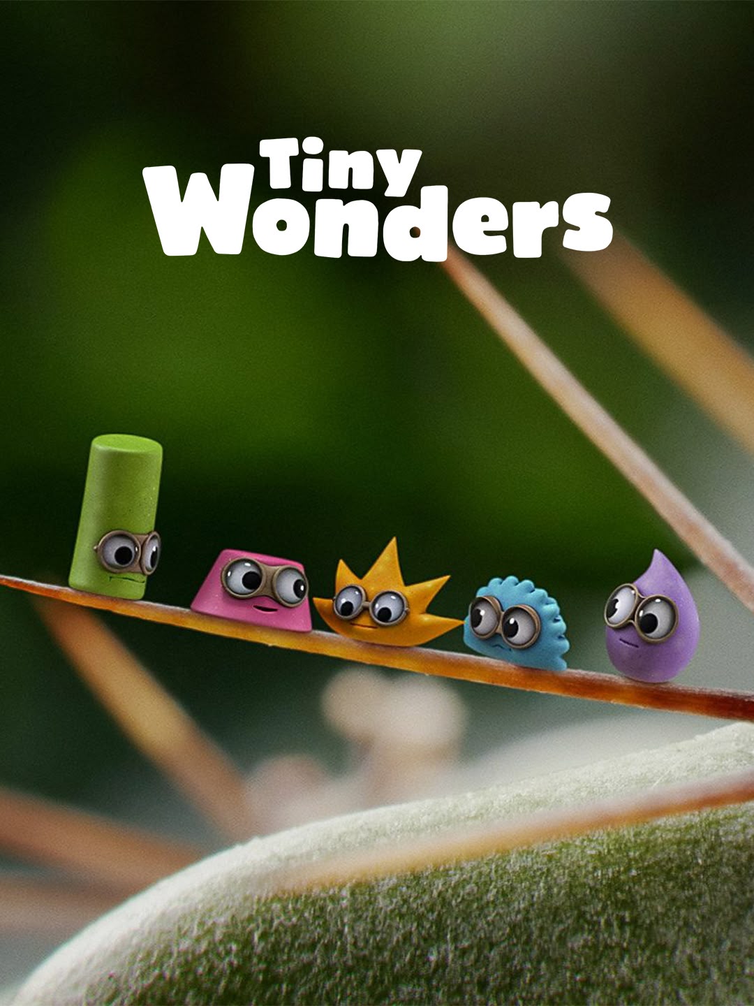Tiny Wonders