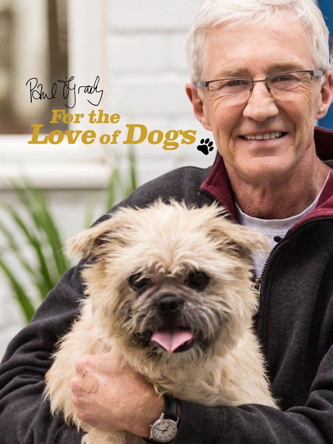 Paul O'Grady: For The Love Of Dogs