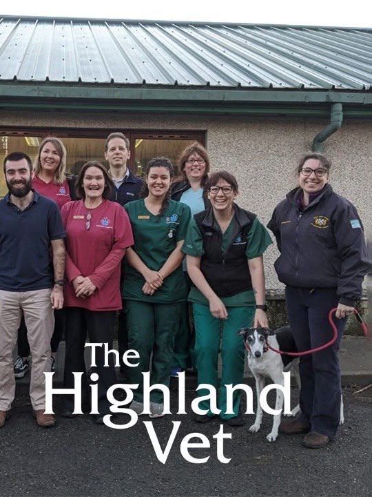The Highland Vet