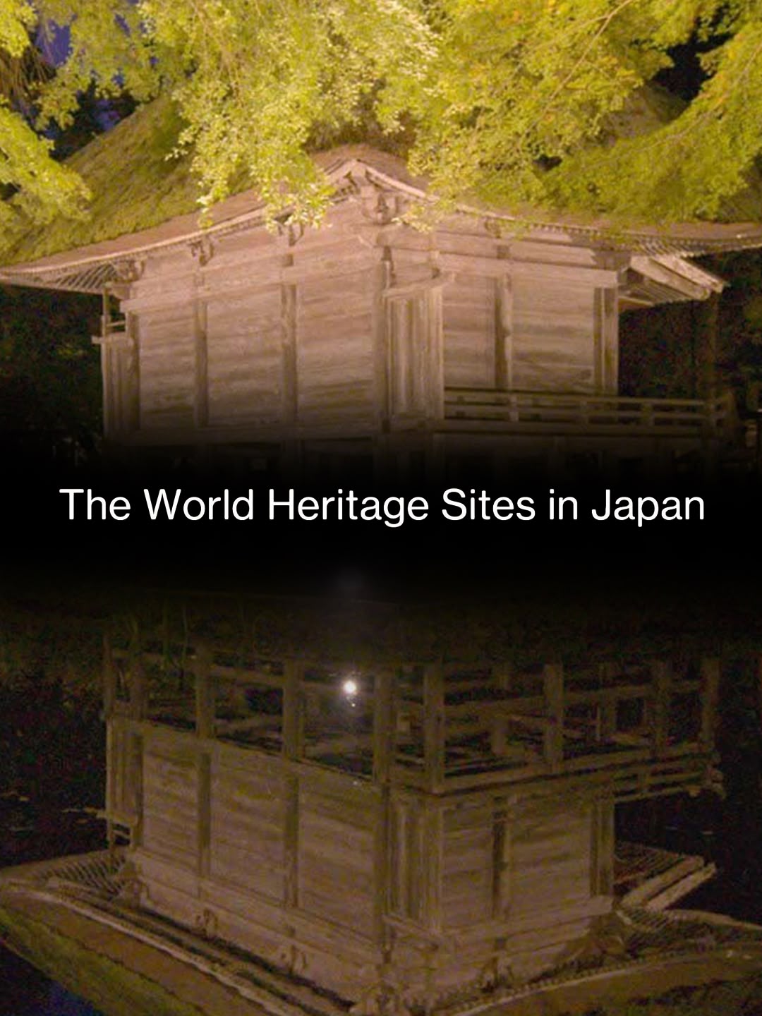 The World Heritage Sites in Japan