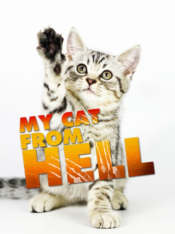 My Cat From Hell