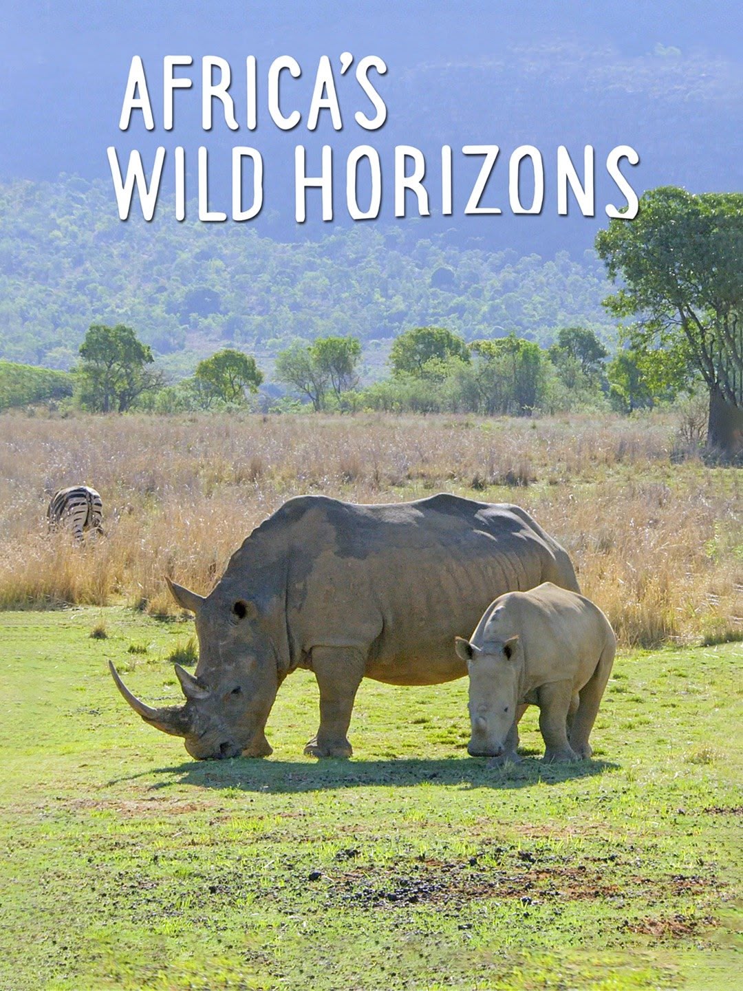 Africa's Wild Horizons